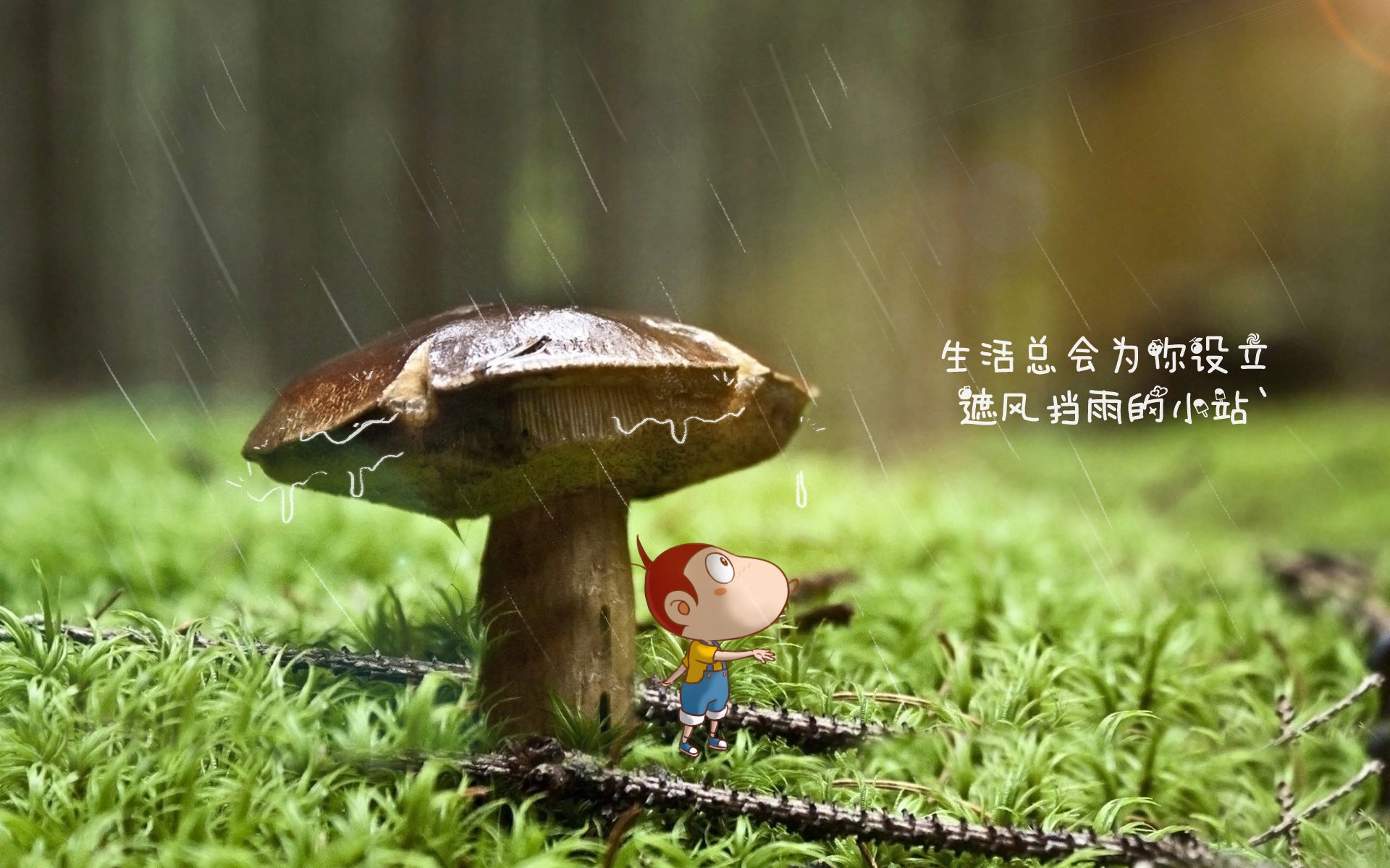 【运动员心态】战前压力释放与专注力训练秘诀