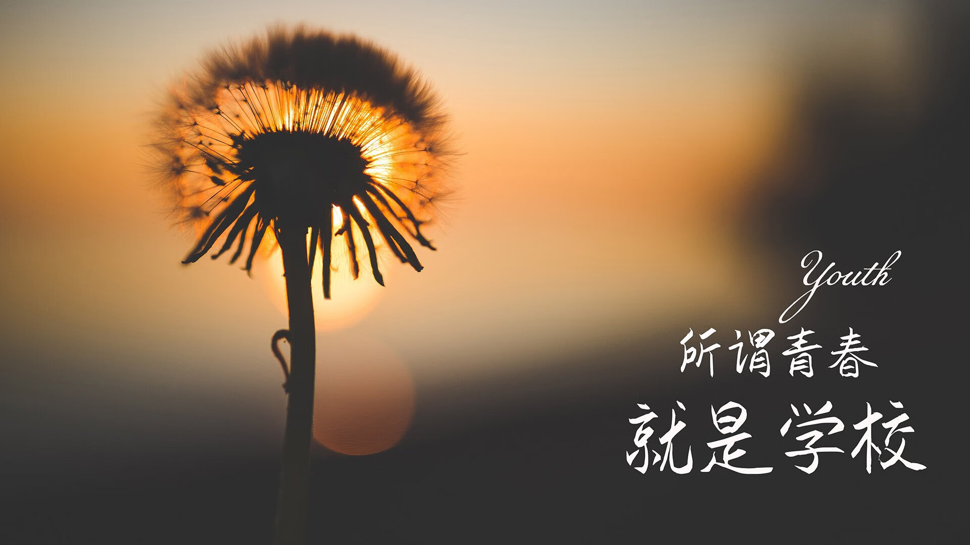 车手独家访谈：比赛中的秘密武器，采访赛车手常问问题