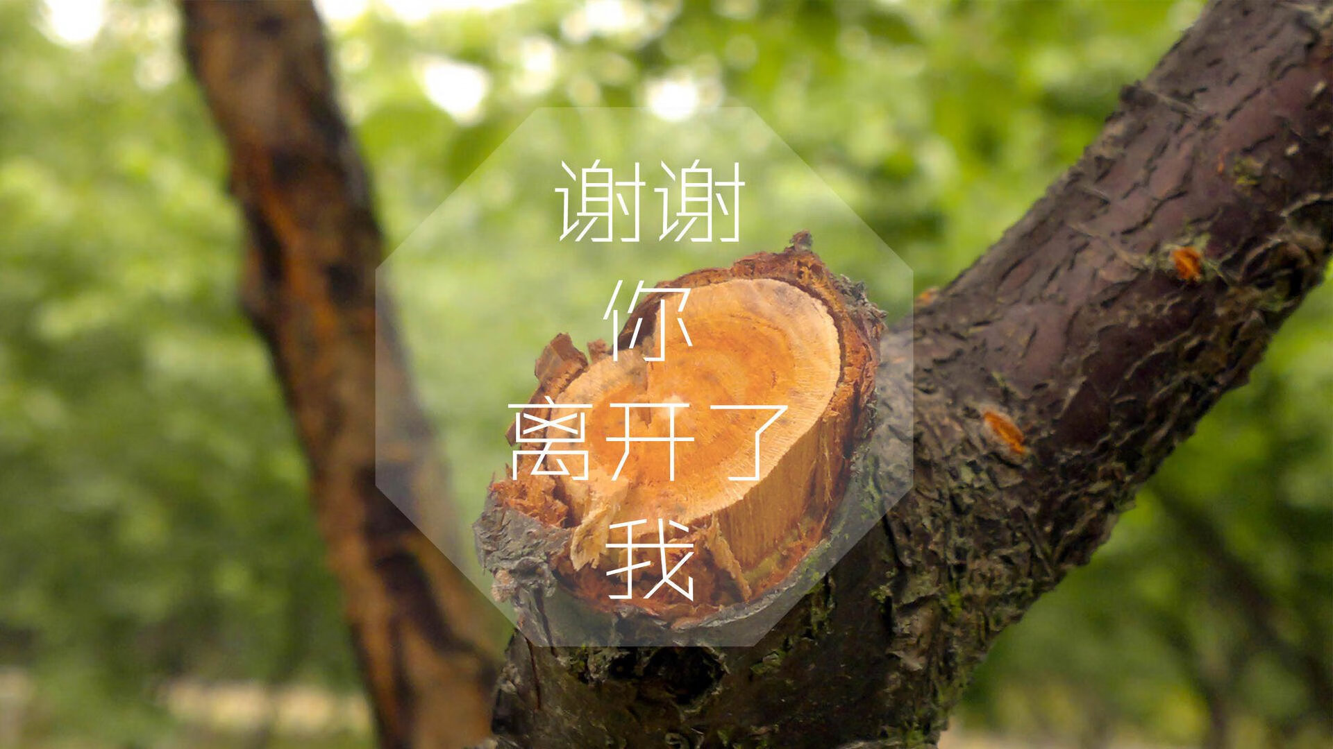 学生用堡垒之夜打造历史博物馆地图，堡垒之夜事件大全
