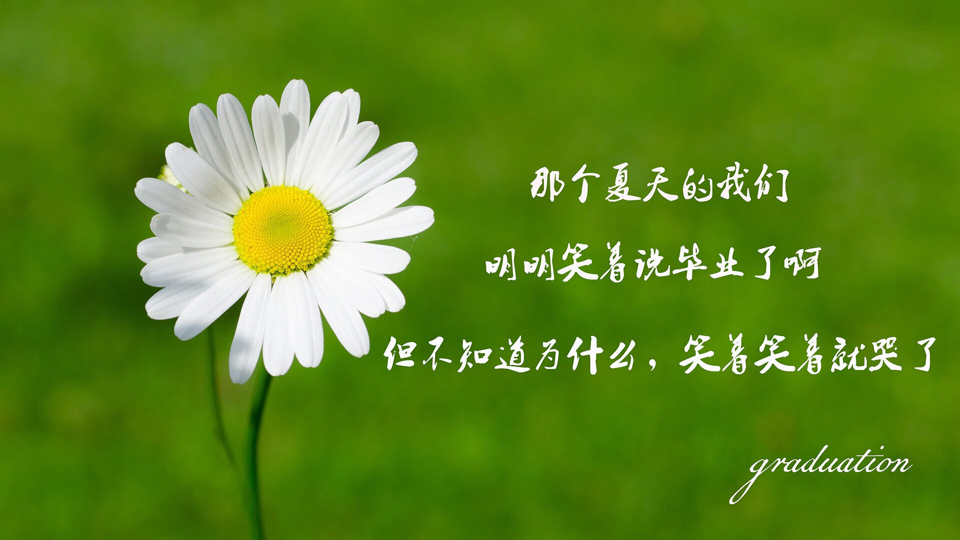 雄鹿击败热火总比分-领先系列赛，雄鹿vs热火第一篇