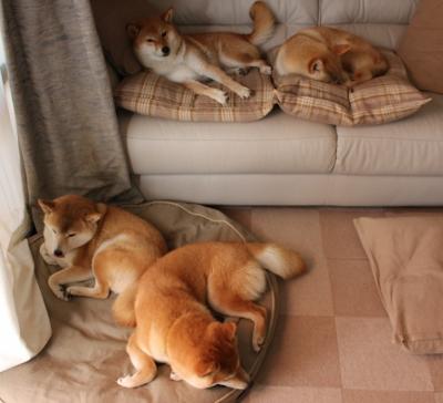 中国女篮打出整体篮球展现团队实力，中国女篮队员都是谁