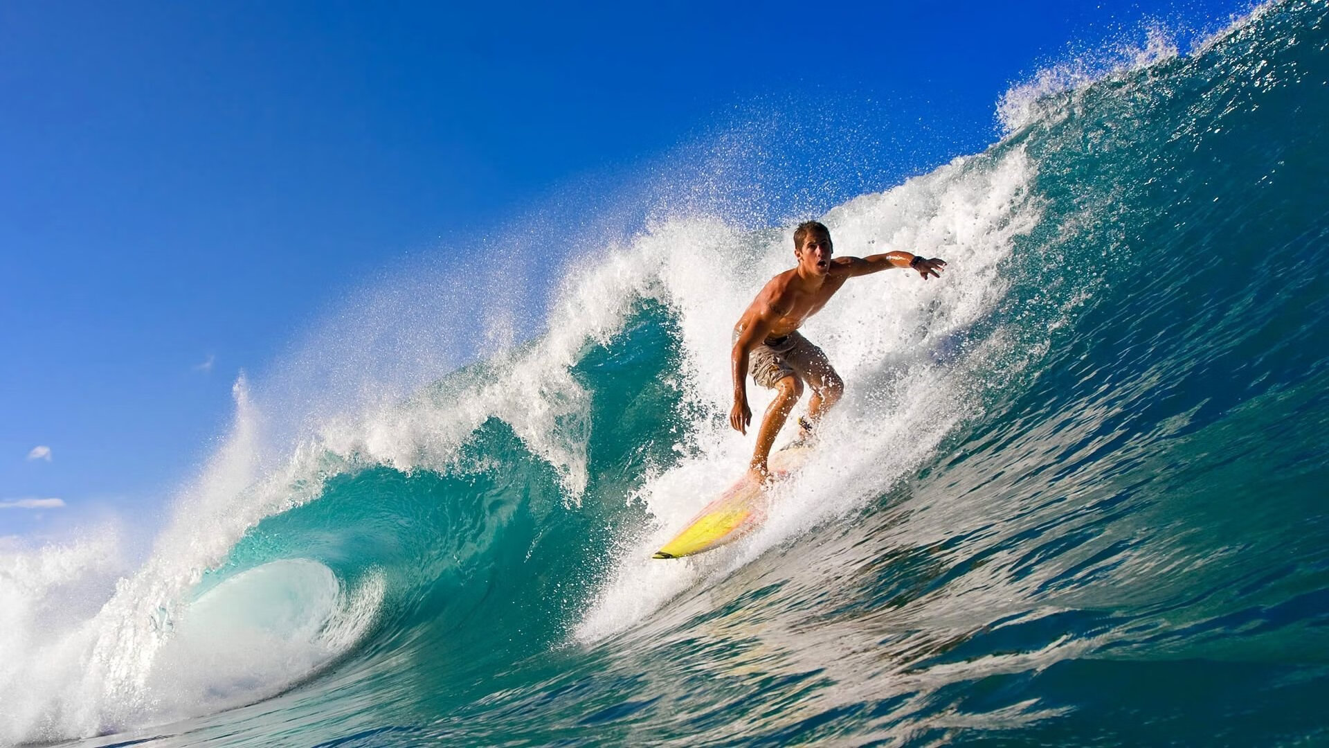 陈艺文关键动作逆转夺冠,tov陈艺文